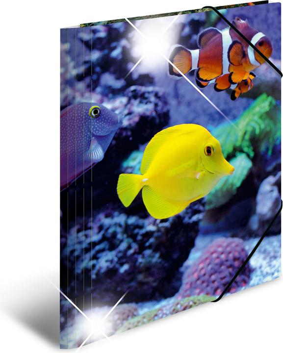 Immagine prodotto HERMA Cartella a motivi A4 (A4, 1 x)