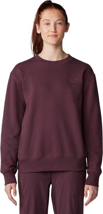 Actual product image Mountain Hardwear W MHW Logo Pullover Crew (XL, XS)