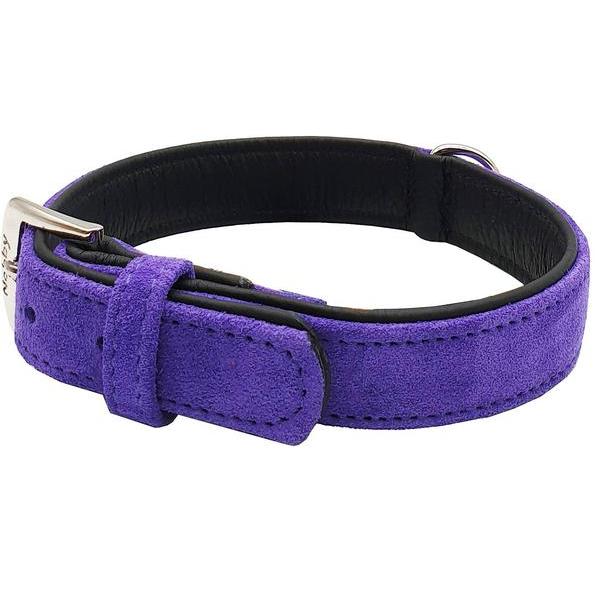 Thumbnail - Nobby Halsband Velours (S, Hund), Halsband + Leine