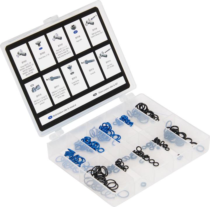 Elvedes O-rings (200 pcs.) Box