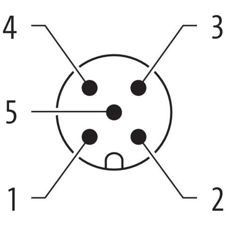 Murr Elektronik Murrelektronik 7000-12041-0151000 Sensor-/Aktor-Steckverbinder, unkonfektioniert, Cavo + Spina elettrica