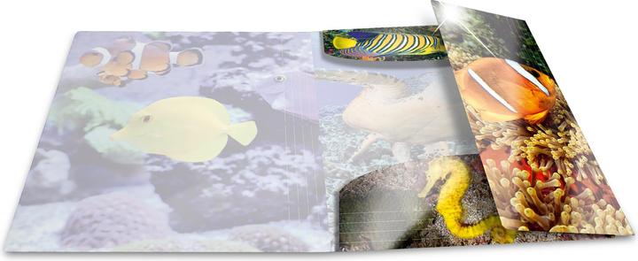 Immagine prodotto HERMA Cartella a motivi A4 (A4, 1 x)