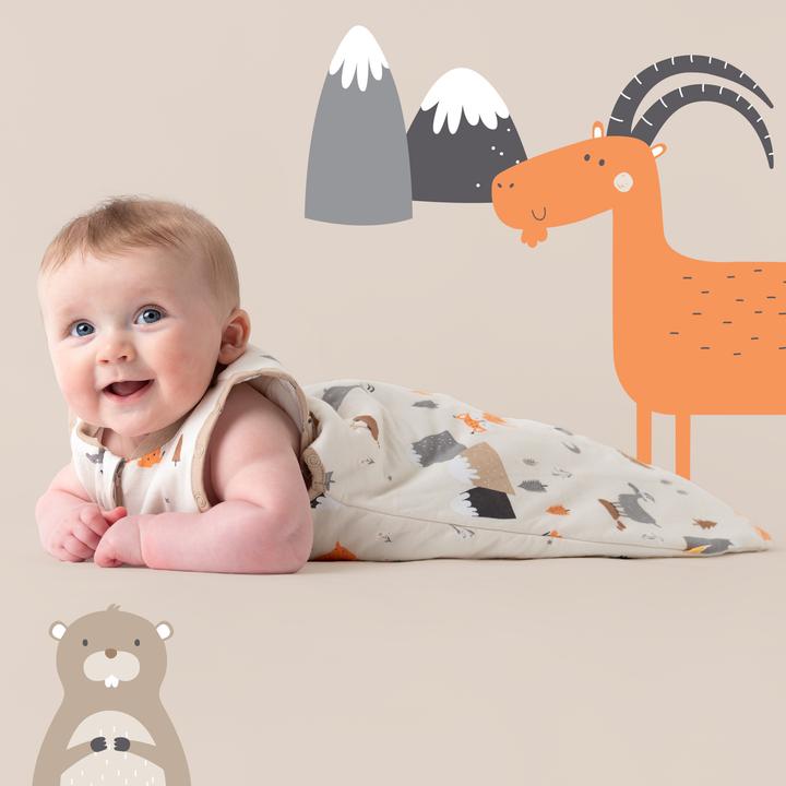 Image du produit Schlummersack Gigoteuse bébé toutes saisons - 2.5 TOG (80 cm, 2.5 TOG, Toute l'année)
