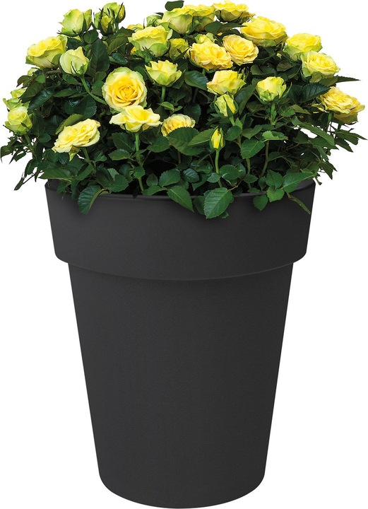 Produktbild Elho Green Basics Top Planter Hoch (34.60 cm)