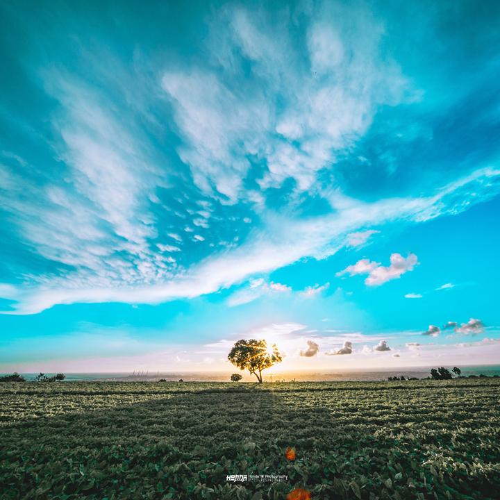 Produktbild Venus Optic 9mm f/5.6 FF RL Nikon Z (Nikon Z, Vollformat)