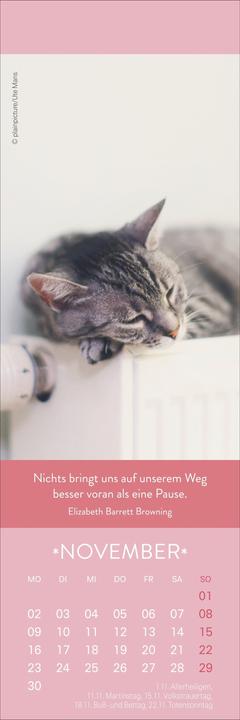 Produktbild Gute Gedanken Lesezeichen & Kalender 2026