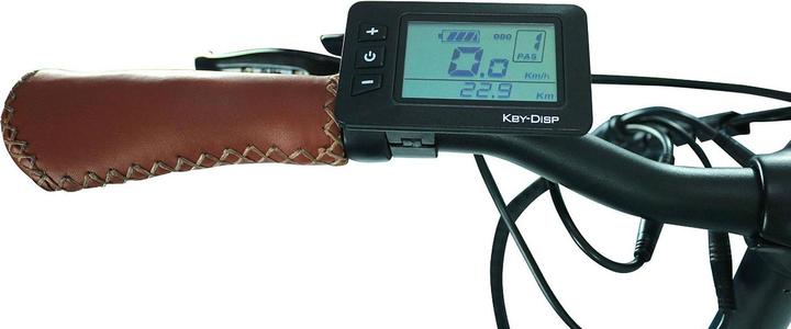 Produktbild Blaupunkt FRIDA« E-Bike Klapprad 24 Zoll grau