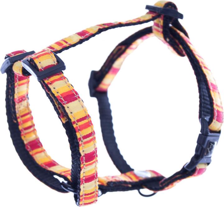 Produktbild Image Reg Beach (10, Hund, Spazieren)