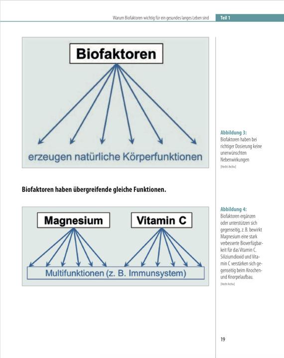 Image du produit Biofaktoren für gesundes Altern (Allemand, Charles Hecht, 2024)