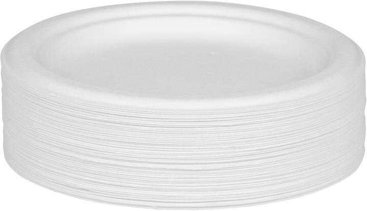 Actual product image Furber Disposable plates (50x)