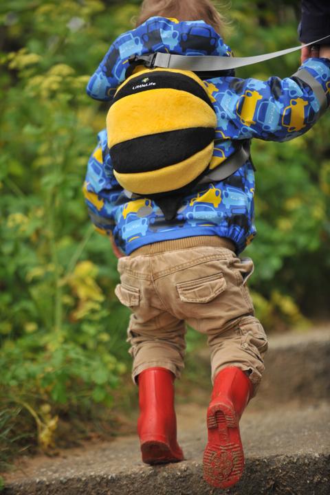 Actual product image Little Life Backpack bee