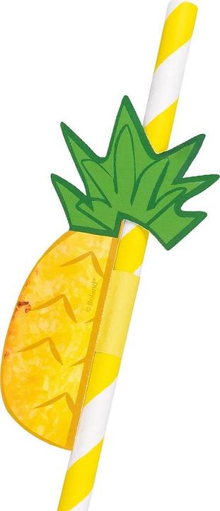 Actual product image Boland 6 paper straws fruit 2 assorted (20 cm) (6x)