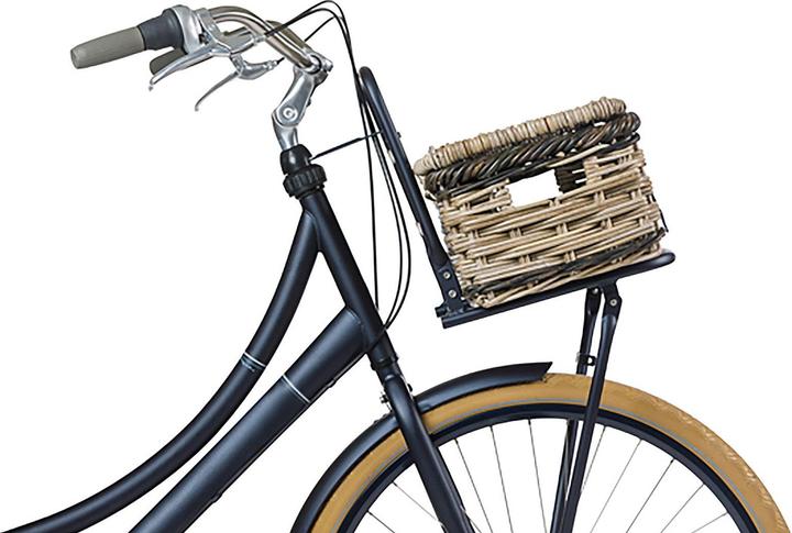 Actual product image Basil Dijon S (18 l)