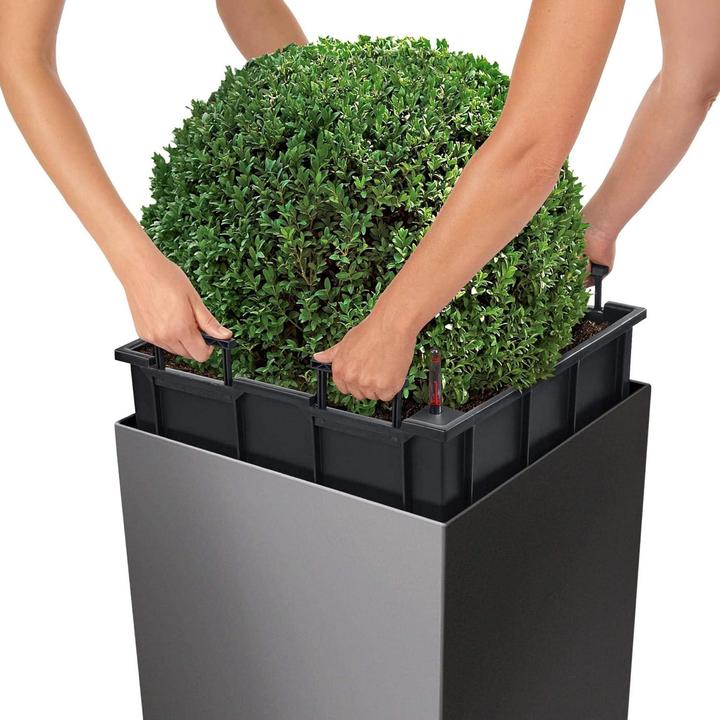 Actual product image Lechuza Cube 50 (49 x 49 x 49.50 cm)