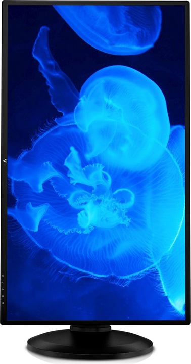 Actual product image V7 L27HAS2K-2E 27 LED LCD (2560 x 1440 pixels, 27")