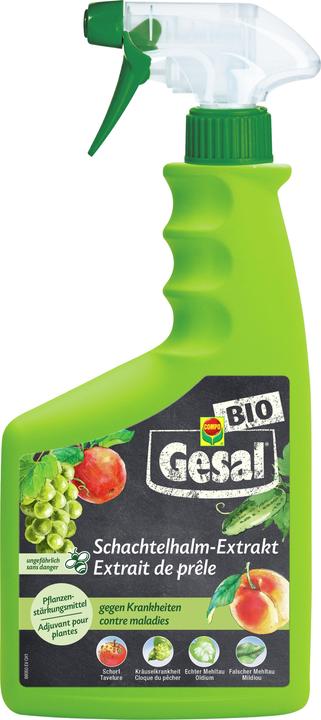 Gesal Schachtelhalm-Extrakt (Funghi)