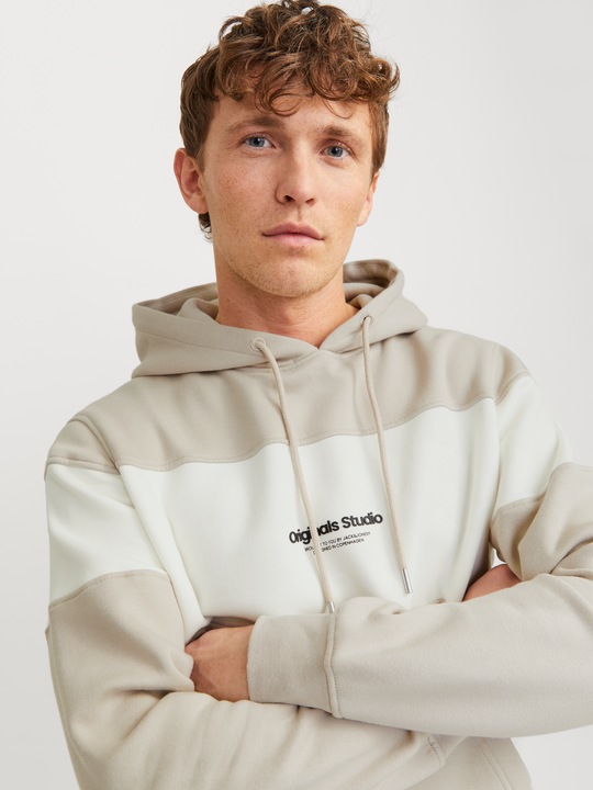 Actual product image Jack & Jones Jorvesterbro Block Sweat Hood Styd Aw24 (XXL)