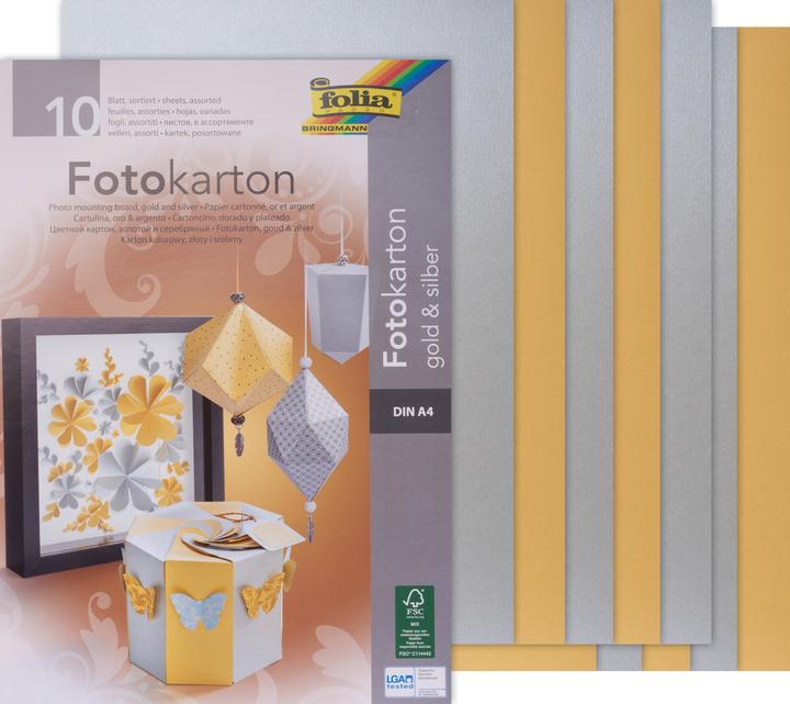 Immagine prodotto Folia Cartone fotografico (300 g/m², 10 x)