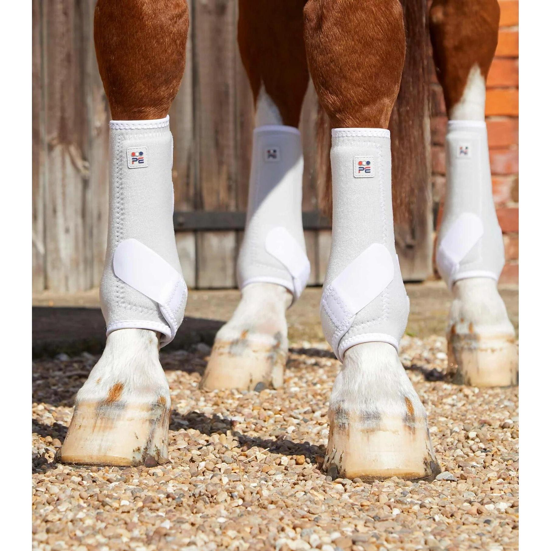 Premier Equine, Pferdebeinschutz
