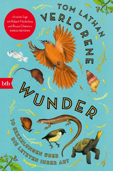 Produktbild Verlorene Wunder (Tom Lathan)