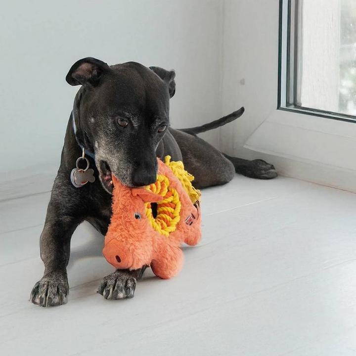 Immagine prodotto KONG Ringaroos Pig (Cane di peluche)