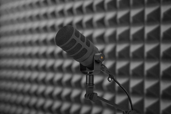 Actual product image RØDE WS14