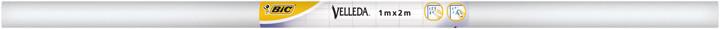 Actual product image Bic Slide