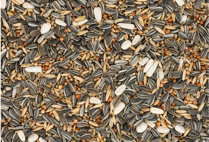 Actual product image Schweizer Classic 5 (1 x, 5 kg)