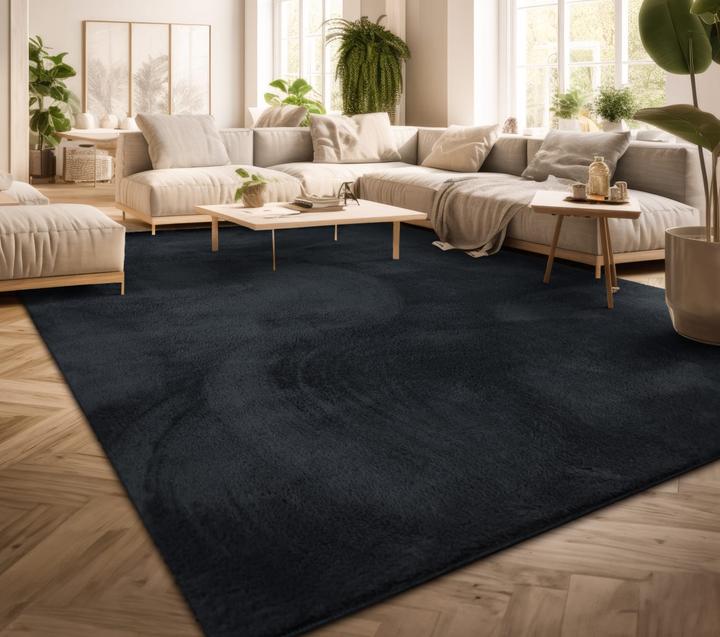 Produktbild TT Home Wohnzimmer Kurzflor Einfarbig Modernes Design Waschbar (100 x 60 cm)
