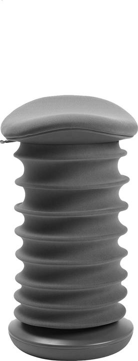Immagine prodotto Topstar Sitness 4D (53 - 64 cm)