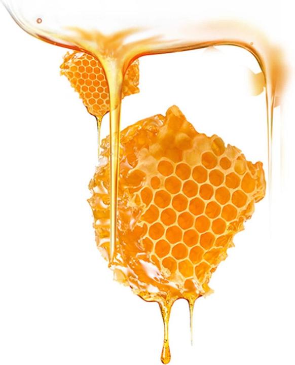 Produktbild Foreo Manuka Honey (36 ml)