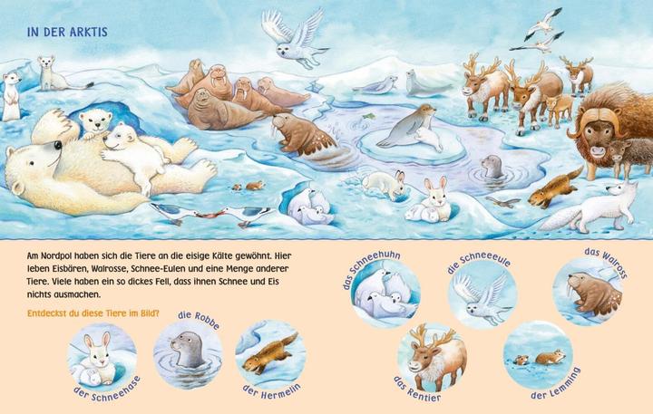 Actual product image Picture Book Baby Pixi HB23 (German)
