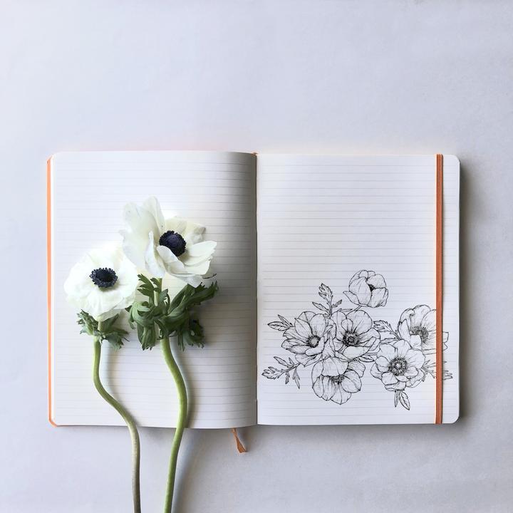 Actual product image Rhodia Rhodiarama (A5, Lined, Soft cover)