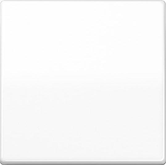JUNG Wippe Schalter AS aws glz f.Bussystem AS101WW