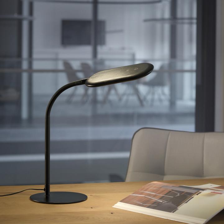 Actual product image Leuchten Direkt Kelly (800 lm)