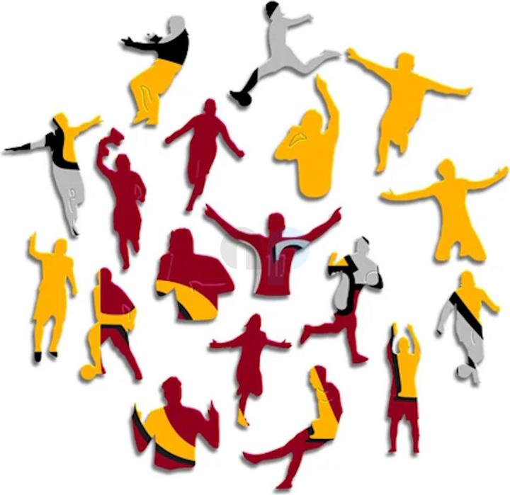 Actual product image Iconic AS Roma - Logo - Wooden Puzzle Size L (500 pieces) (500 pieces)