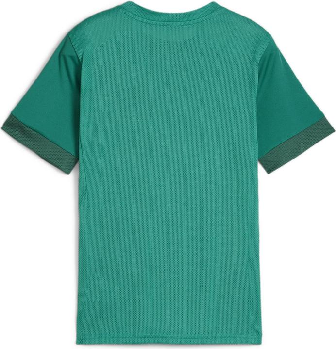 Actual product image Puma teamGOAL Matchday Jersey jr (152)