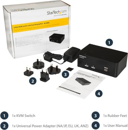 Immagine prodotto StarTech SV231DPDDDUA2