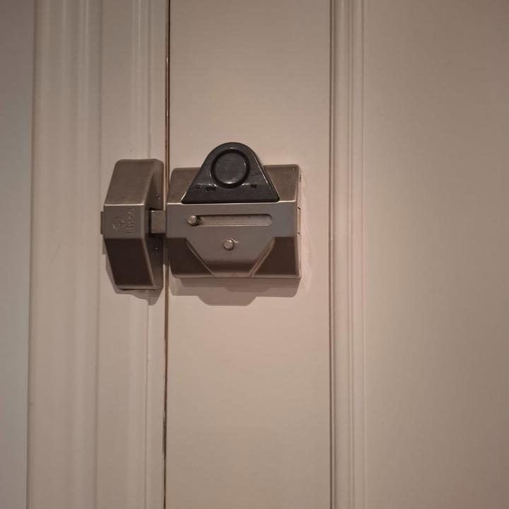 Actual product image Lince High Security Alarm with Intrusion Detection and Mechanical Protection