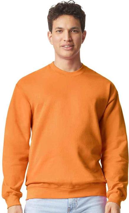 Immagine prodotto Gildan Softstyle Felpa Uomo (4XL)