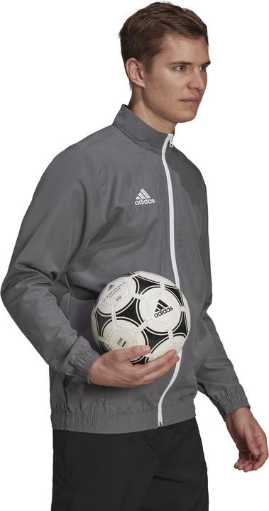 Actual product image adidas Entrada 22 presentation jacket men (S)