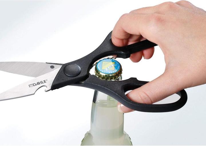Actual product image Dahle Shears (21 cm)