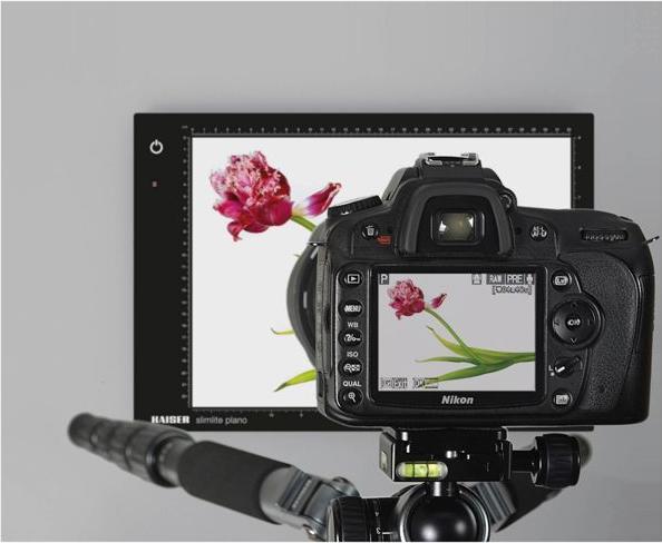 Image du produit Kaiser Fototechnik Slimlite Plano (Divers)