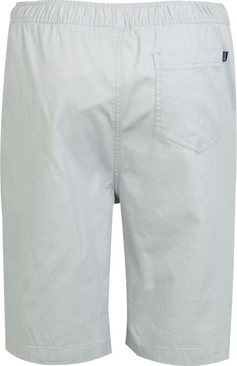Actual product image Regatta Mens Aldan Chino Shorts (32)