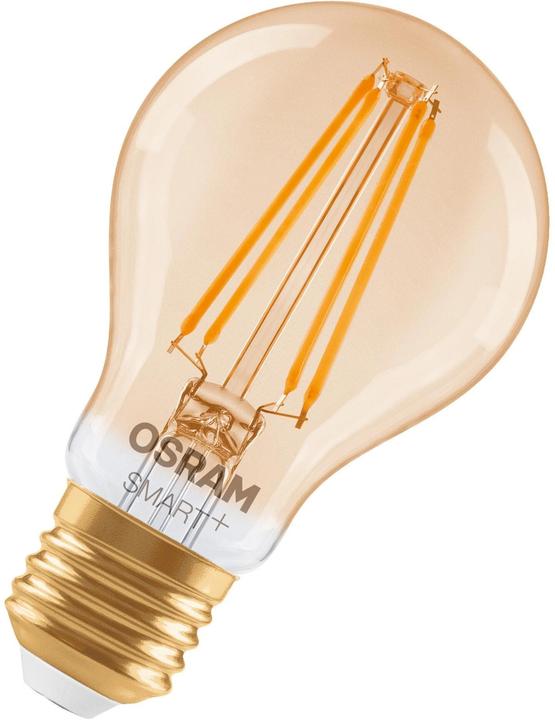 Produktbild Osram SMART+ MATTER Classic A53 6W 824 FILAMENT GOLD DIM E27 (E27, 680 lm, 1x)