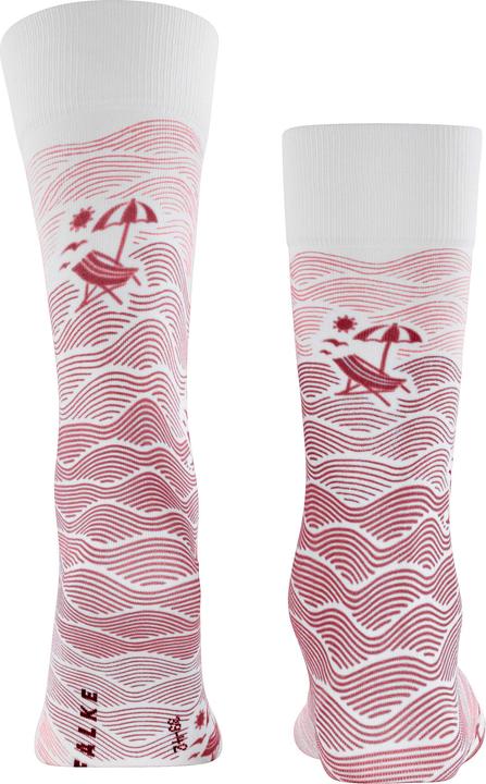 Produktbild Falke Plage Baumwollsocken (Einzelpack, 39 - 42)
