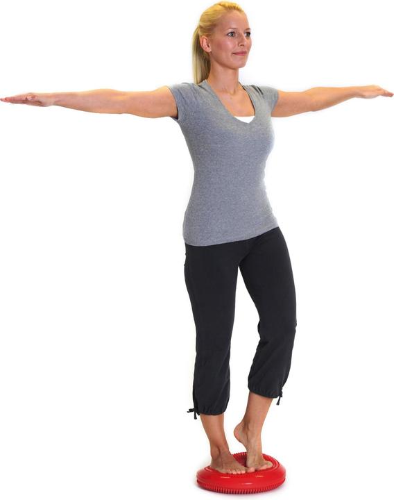 Produktbild Sissel Balancefit