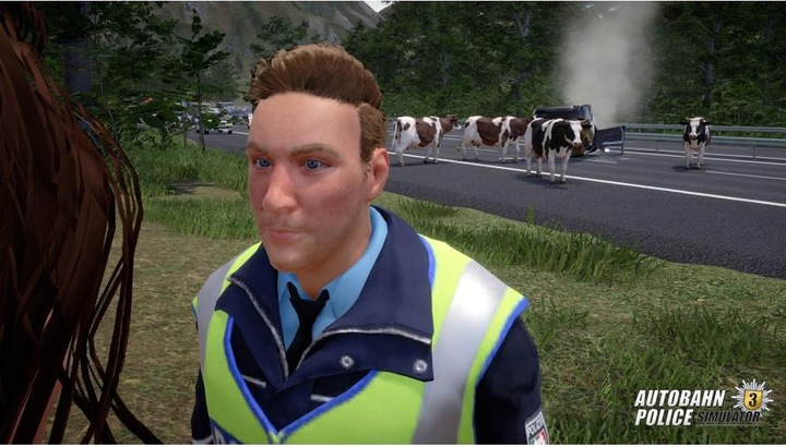 Actual product image Aerosoft Highway Police Simulator 3 (PS4, DE)