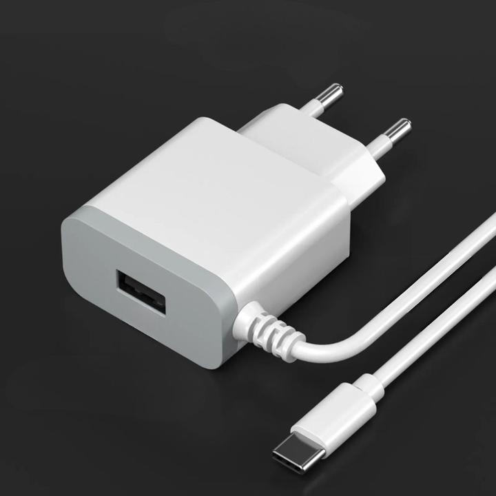 Actual product image DENMEN WEISSES USB-WANDLADEGERÄT + TYP-C-KABEL DC09T-W 2,4 A