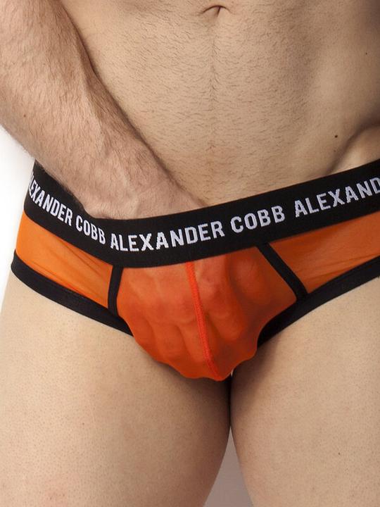 Produktbild Alexander Cobb Transparent Slip (XL)